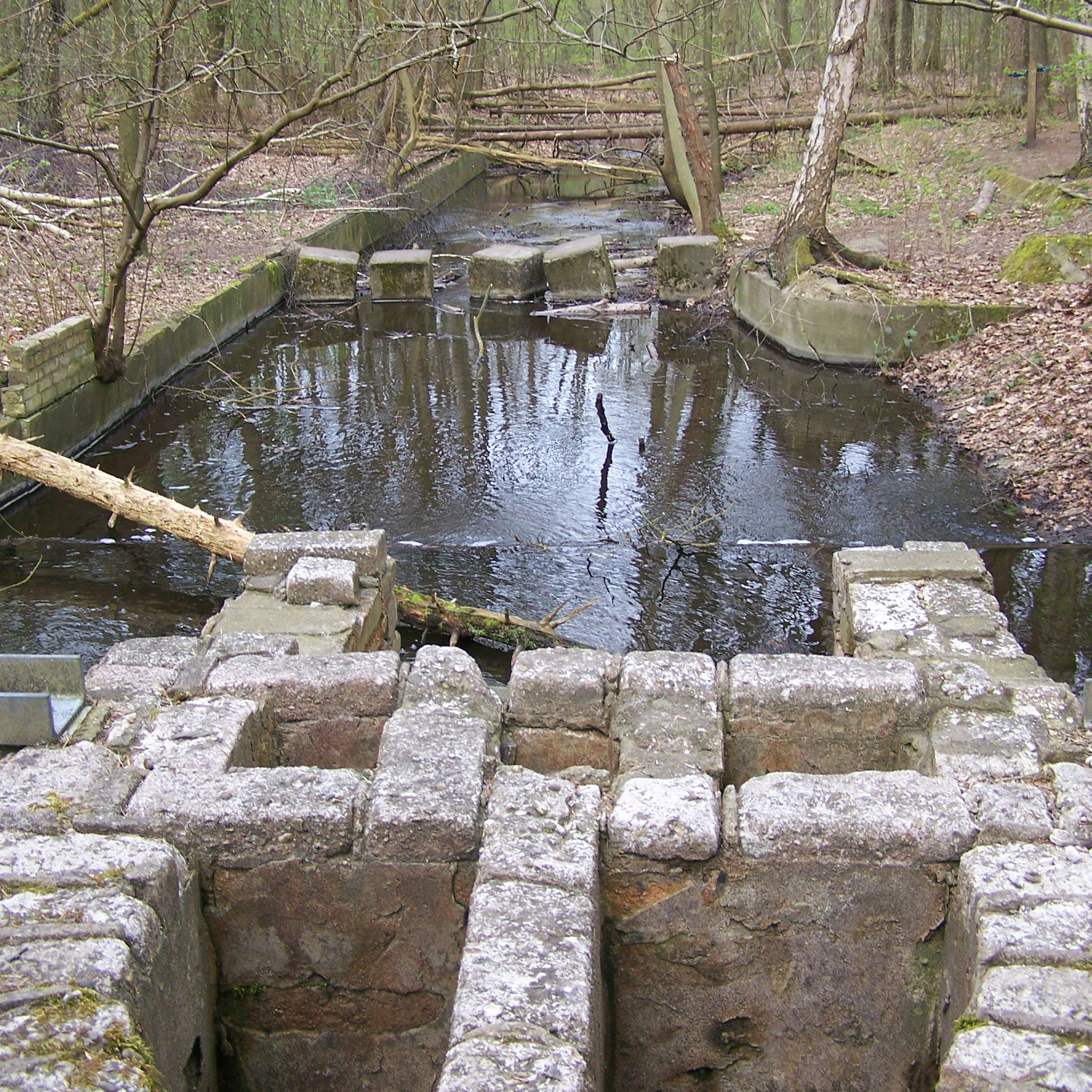 Werkatelier Waterloopbos foto waterloopbos_vierkant